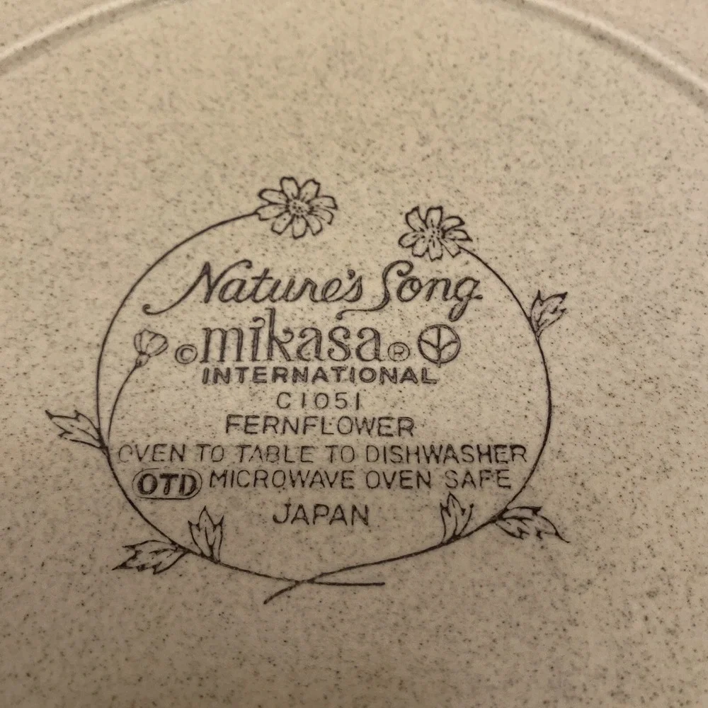 Vintage Mikasa Natures Song FERNFLOWER C1051 12